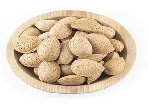 بادام سنگی البرز + فروش با قیمت باور نکردنی